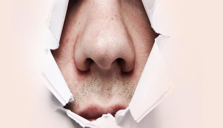 astrology tips,astrology tips in hindi,nature by nose,human nature,samudrik shastra