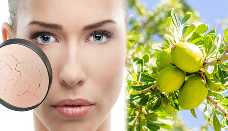 argan oil,argan oil benefits,argan oil beauty benefits,argan tree,nourishes dry skin,eases oily skin discomforts,lightens ugly stretch marks,fights acne and its scars,beauty,beauty tips