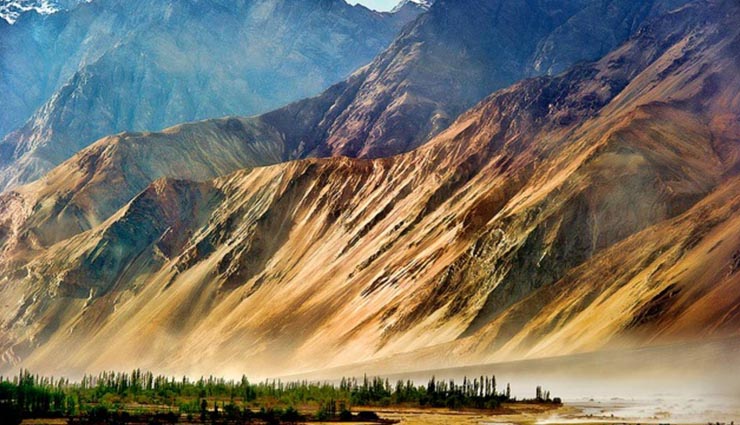 holidays,nubra valley,wanderlust,6 places to explore this time in india,orchha,pushkar,varkala,ziro,jibhi,must to visit places in india,best places to go solo