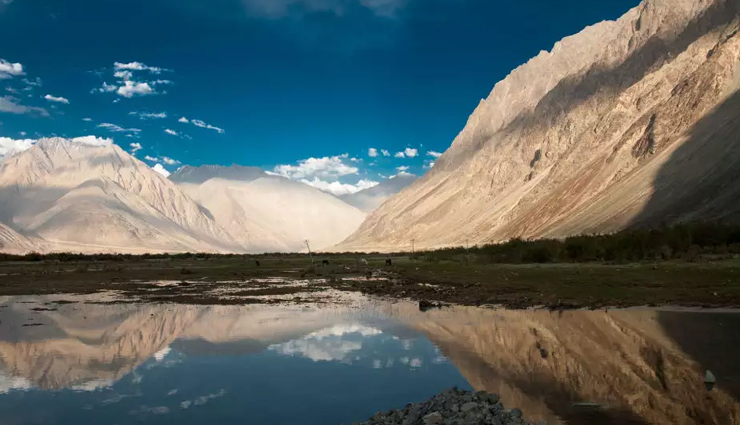 nubra valley activities,bactrian camel safari,nubra valley adventures,nubra valley desert,camel ride nubra valley,things to do in nubra valley,nubra valley tourism,desert safari ladakh,nubra valley photography,nubra valley travel guide,nubra valley sightseeing,ladakh travel experiences