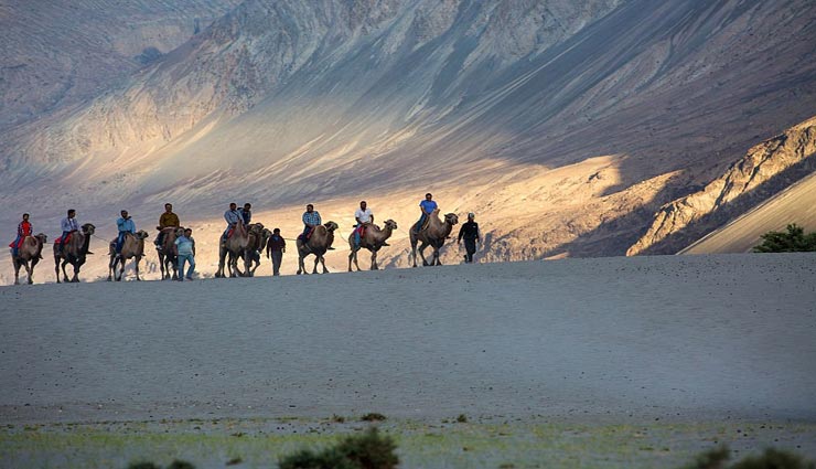 tourist place,indian tourist place,ladakh tourist place,nubra valley