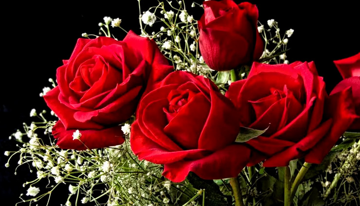 Valentines 2019- Here is Meaning of Number of Roses You are About to Gift