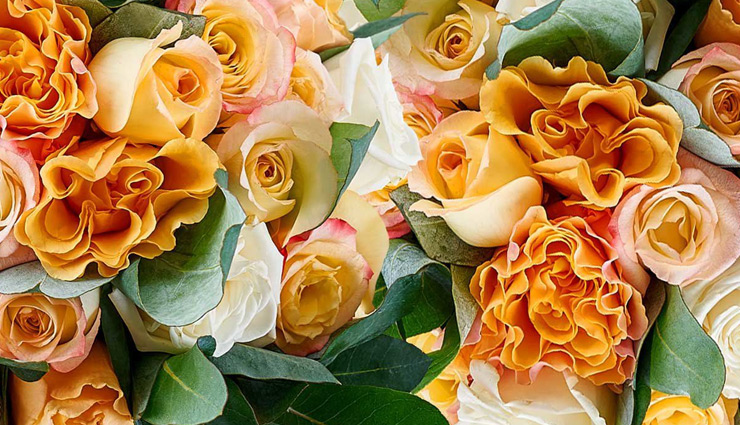 valentines 2019,number of roses,meaning of roses