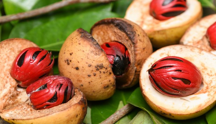 sri lankan spices,important sri lankan spices,list of sri lankan spices,travel,travel tips,holidays