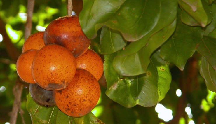 dizziness,dizziness treatment,tips to treat dizziness,tips to get rid of dizziness,dizziness problem,Health,Health tips