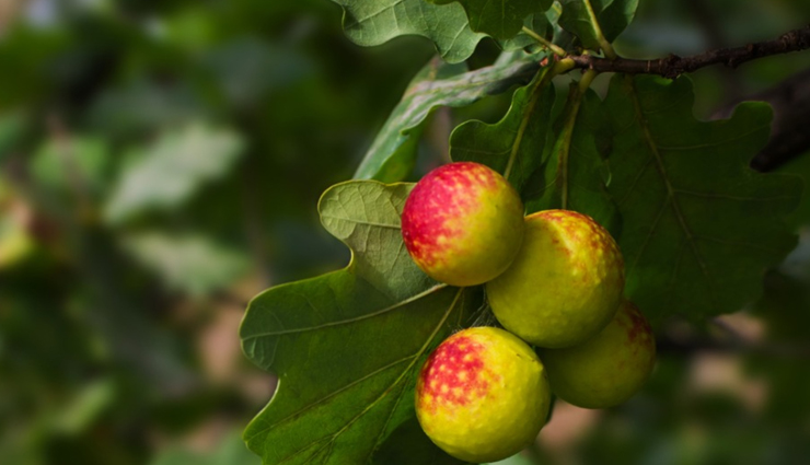 natural ways to tighten the vagina,vaginal health tips,Health tips,healthy living