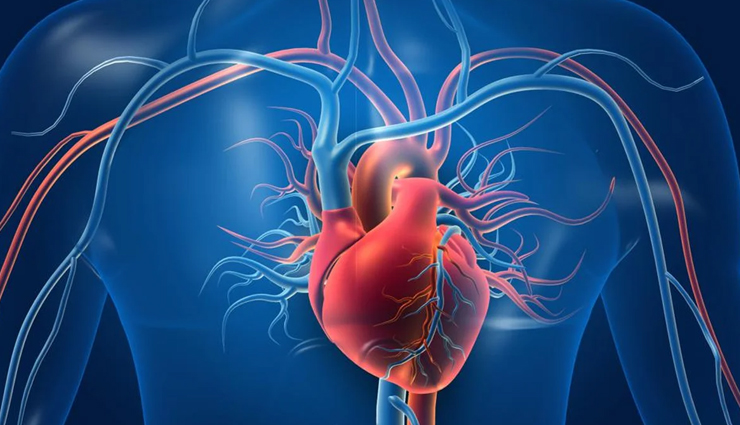 Oats,health benefits of oats,Health tips,fitness tips