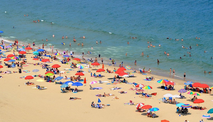 best new jersey beaches,top beaches in new jersey,new jersey shore beaches,popular beaches in nj,jersey shore vacation spots,family-friendly beaches in new jersey,sandy hook beach,cape may beaches,wildwood beach,ocean city nj beach,asbury park beach,jersey shore attractions,beachfront resorts in new jersey,boardwalks in nj,new jersey coastal towns