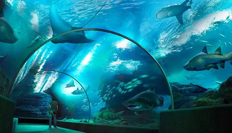 bangkok,bangkok tourism,tourist places in bangkok,holidays in bangkok,holidays,tourism