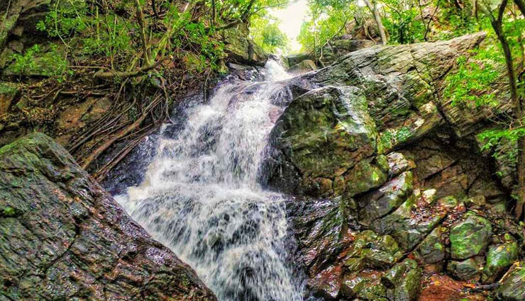 dolphins,spotting dolphins,spotting dolphins in india,tourist places in india,india tourism,travel,holidays