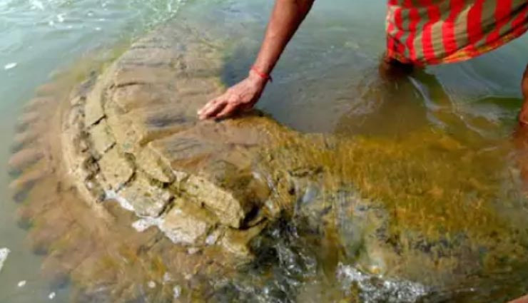 unearthed,old shiva temple,nellore,andhra pradesh,weird news