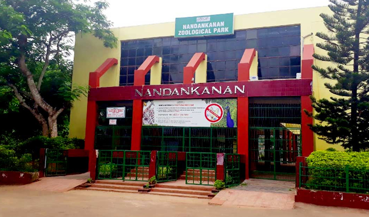 must visit places in odisha,odisha travel,odisha,holiday,travel,tourism