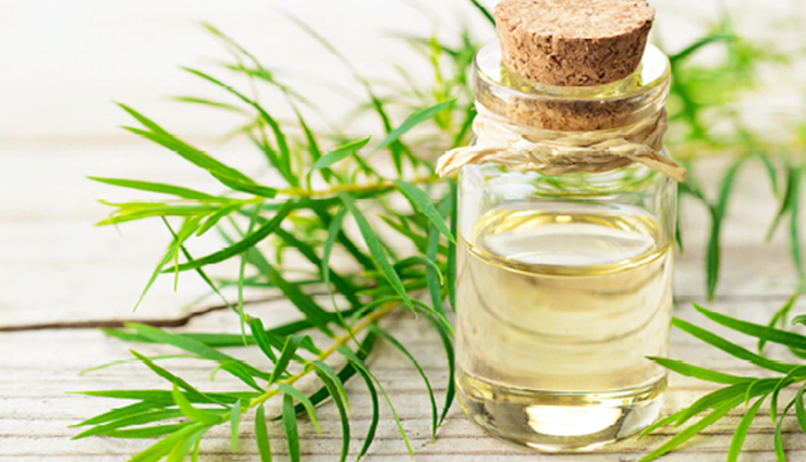 essential oils,essential oils for hair and scalp,hair care tips,skin care tips