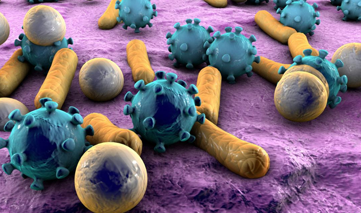 what is oil pulling how to do it and know about its benefits,Health,healthy living