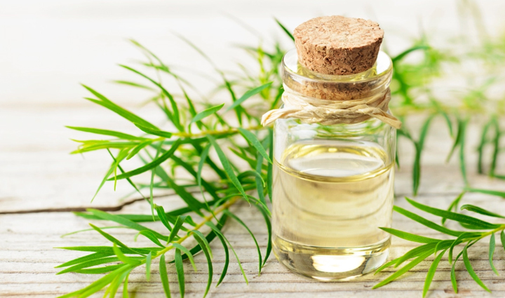 essential oils you can include in your hair care routine during winters,beauty tips,beauty hacks