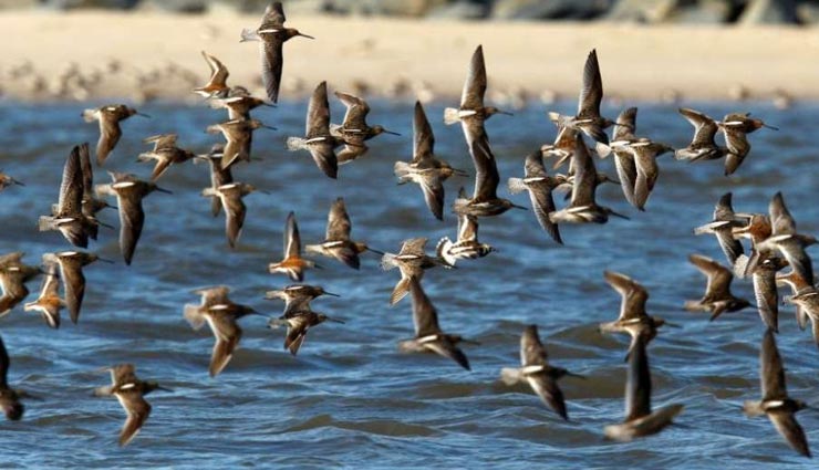 tourist places,indian tourist places,monsoon tourist places,tourist places near delhi