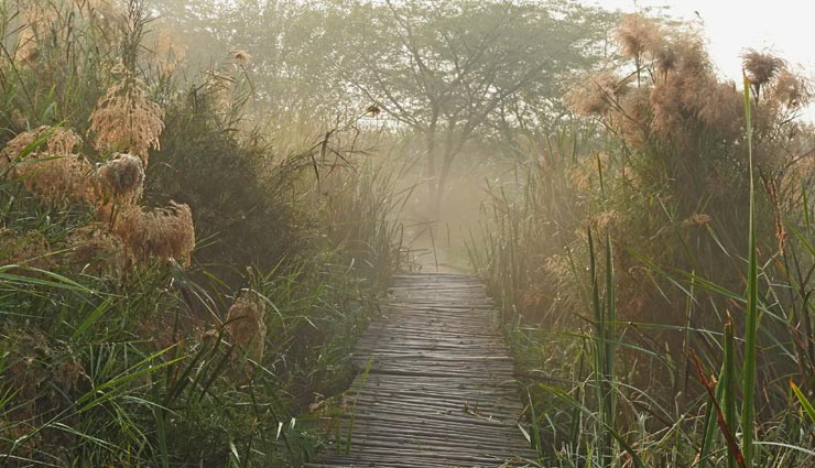 tourist places,indian tourist places,nera delhi trip,beautiful tourist places