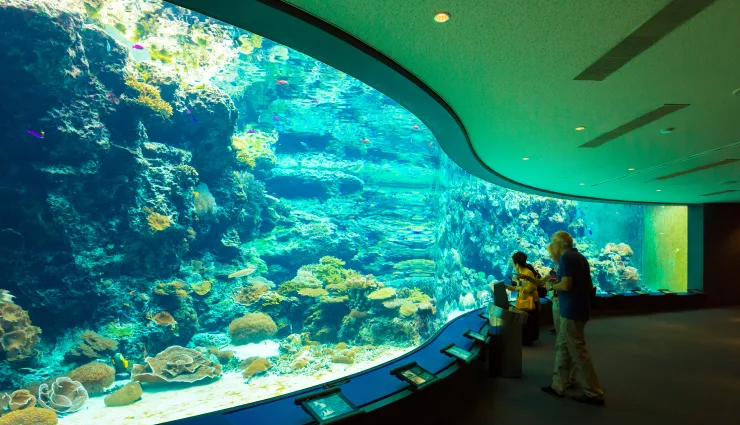 largest aquariums,worlds biggest marine exhibits,top aquarium destinations,aquatic wonders,marine life spectacles,oceanariums around the globe,giant fish tanks,underwater biodiversity,record-breaking aquariums,oceanic showcases