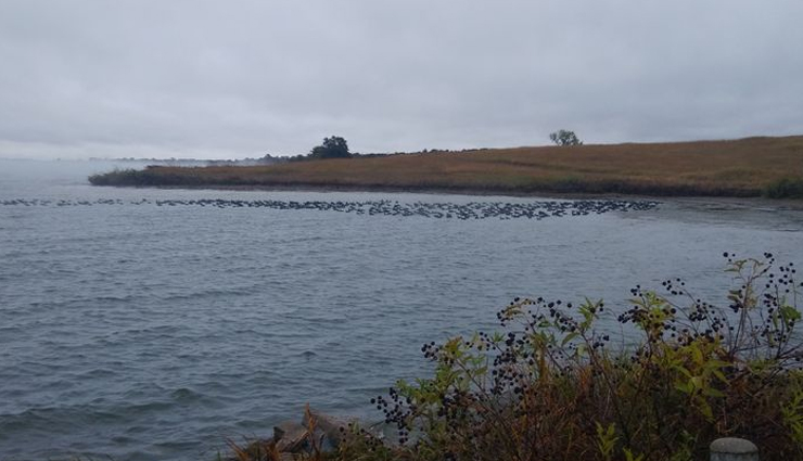 lakes in oklahoma,oklahoma,places to visit in oklahoma,broken bow lake,lake oologah,skiatook lake,eufaula lake,grand lake o the cherokees,konawa lake