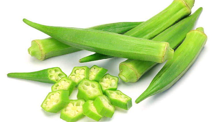 आहार में शामिल करें प्रोटीन और विटामिन से भरपूर ये 5 सब्जियां, कभी नहीं पड़ेगी डॉक्टर की जरूरत 