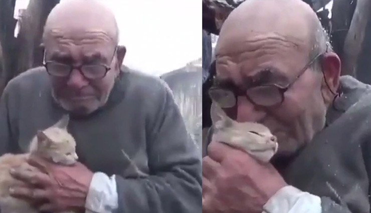 जल गया पूरा घर लेकिन बच गई बिल्ली की जान, सीने से चिपकाकर फूट-फूटकर रोने लगा बुजुर्ग; वीडियो कर देगा आपको इमोशनल