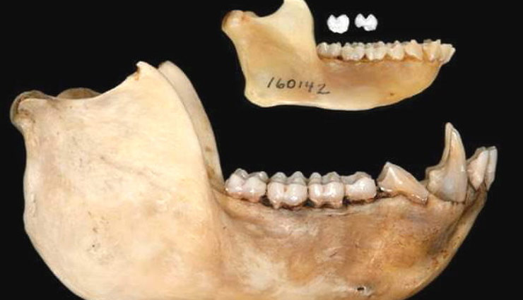 केन्या : 42 लाख साल पुराने सबसे छोटे बंदर के जीवाश्म मिले, वजन होता था सिर्फ 1 किलोग्राम