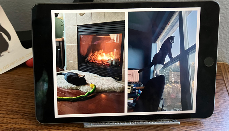 tips to repurpose old android tablet,how to revive old apple device,repurpose aging android phone,repurpose old ipad tips,tips to use old tablet,make old android device useful,tips for old apple device functionality,use old tablet as e-book reader,repurpose old tablet for kids,turn old tablet into smart speaker,digital photo frame with old tablet,secondary display with old tablet,best apps to repurpose old tablet,two-factor authentication storage on old device,how to reuse aging android or apple device,use old tablet for 2fa backup codes,convert old tablet into secondary monitor,old tablet for smart home setup,creative uses for old android and apple devices,best ways to repurpose old devices