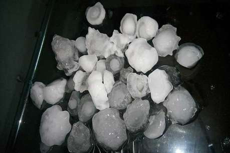 अनोखे देश जहां बारिश के दौरान पानी नहीं बरसते है जानवर weird rains,rains around the world,weird story