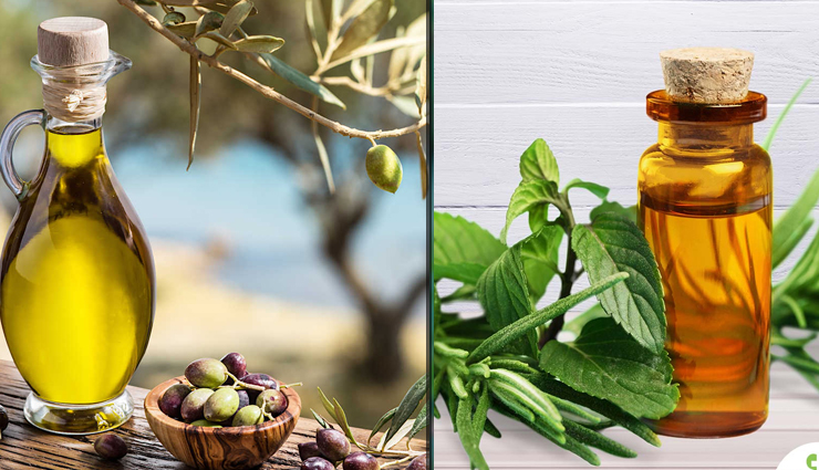 ways to use olive oil to treat dandruff,olive oil for dandruff,olive oil benefits,olive oil beauty benefits,beauty tips,beauty hacks,treating dandruff naturally