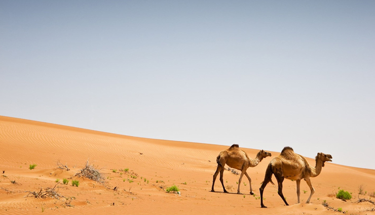 oman,places to visit in oman,tourist attractions in oman,muscat,salalah,wahiba sands,misfat al abriyeen,masirah island,bahla