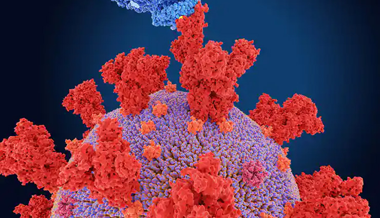 देश में तेजी से फैल रहा ओमिक्रॉन, तमिलनाडु के बाद कर्नाटक में 12 और केरल में 5 नए केस मिले; कुल आंकड़ा हुआ 325