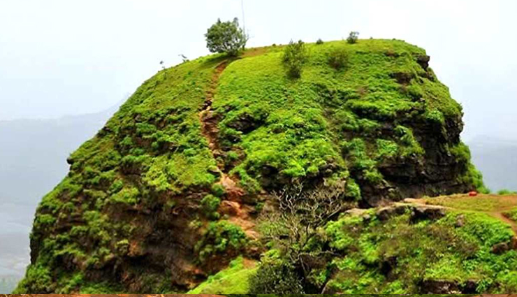 वीकेंड पर आने वाले पर्यटकों के लिए परफेक्ट डेस्टिनेशन है माथेरान, जानें यहां के दर्शनीय स्थल matheran weekend getaway,ideal weekend destination: matheran,perfect weekend escape: matheran,best weekend spot matheran,scenic beauty of matheran,matheran a nature lover paradise,adventure activities in matheran,matheran hill station: a tourist delight,explore matheran on a weekend,budget-friendly weekend trip to matheran