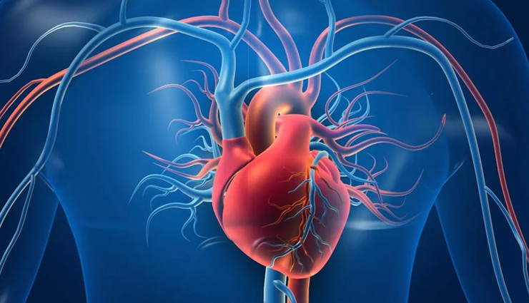 health benefits of onions,onions,Health tips,fitness tips