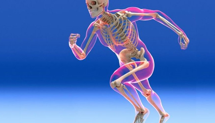 onions,health benefits of onions,Health tips,fitness tips