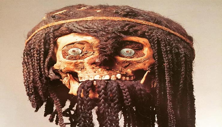 यहाँ ऑनलाइन बेची जा रही है इंसान की खोपड़ी, वजह हैरान कर देने वाली