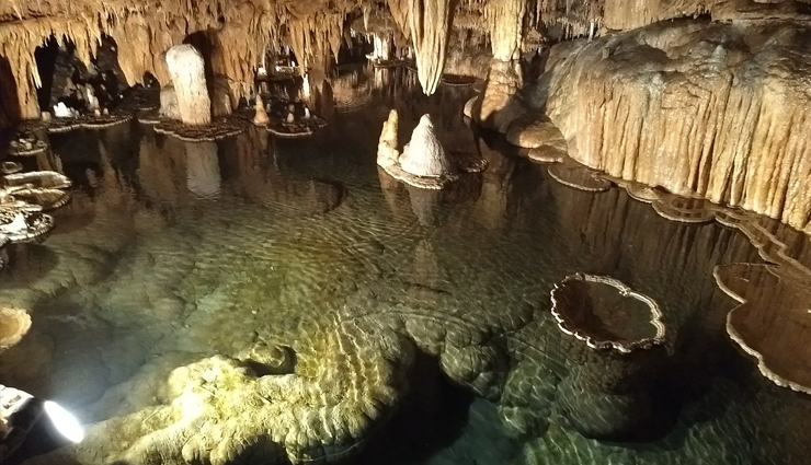 mysterious and adventurous caves,caves,waitomo glowworm caves,barton creek cave,harrisonís cave,phong nha cave,mammoth cave,caves of swallows,fingalís cave,lascaux cave,ellisonís cave,onondaga cave,travel,holidays,travel guide