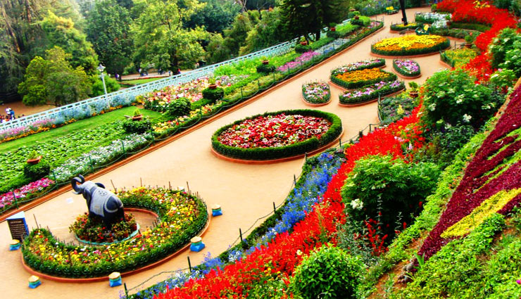 चाय के बागानों के लिए प्रसिद्द है ऊंटी, देता हैं खूबसूरत नजारों का मजा