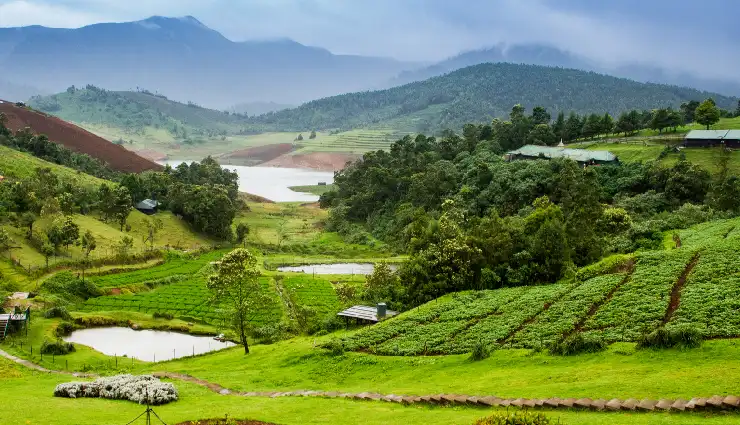 south india honeymoon destinations,romantic honeymoon in kerala,munnar honeymoon guide,coorg honeymoon spots,alleppey houseboat honeymoon,best honeymoon places in south india,south india honeymoon itinerary,kovalam honeymoon ideas,scenic honeymoon locations india,honeymoon travel tips south india