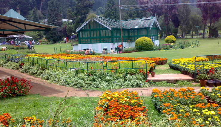 ooty,tamil nadu,places to visit in ooty,avalanche lake,ooty lake,emerald lake,ooty botanical gardens,deer park