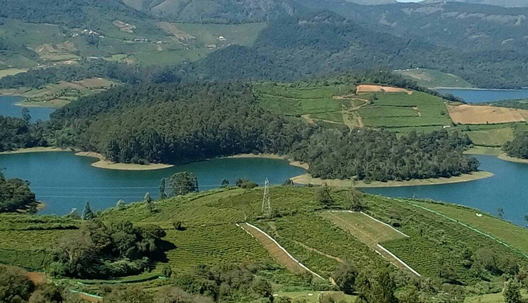 ooty,tamil nadu,places to visit in ooty,avalanche lake,ooty lake,emerald lake,ooty botanical gardens,deer park