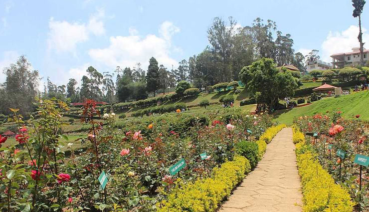 ooty,places to visit in ooty,ooty tourism,nilgiri hills,tour and travel,travel,holidays
