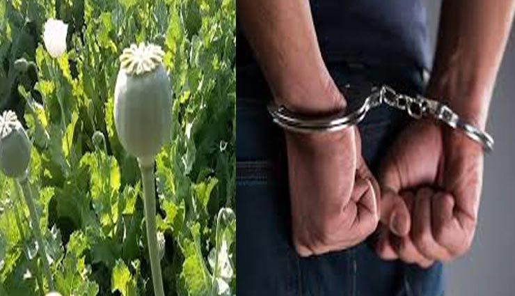 झुंझुनूं : नशे के खिलाफ पुलिस की बड़ी कार्रवाई, लग्जरी कार से 1.40 किलो अफीम बरामद, आरोपी फरार