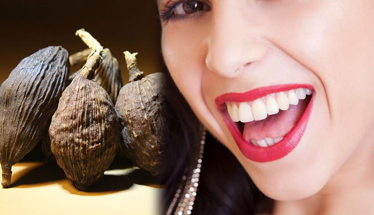 keeps heart healthy,health benefits of cardamom,elaichi ke fayde,black cardamom,Health tips,health care tips