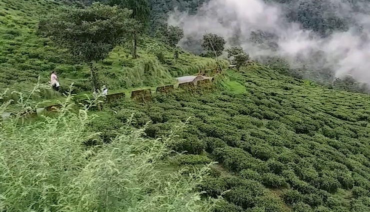 tourist attractions in darjeeling,places to visit in darjeeling,darjeeling sightseeing spots,famous landmarks in darjeeling,top tourist destinations in darjeeling,cultural heritage sites in darjeeling,darjeeling himalayan railway,tea gardens in darjeeling,darjeeling mall road,tiger hill sunrise view