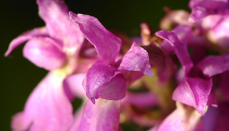 pigmentation,skin pigmentation,get rid of pigmentation,skin care tips,skin problems,skin care,simple skin care tips,skin care home remedies,beautiful skin,clear skin,skin,beauty,beauty tips,simple beauty tips,quick beauty tips