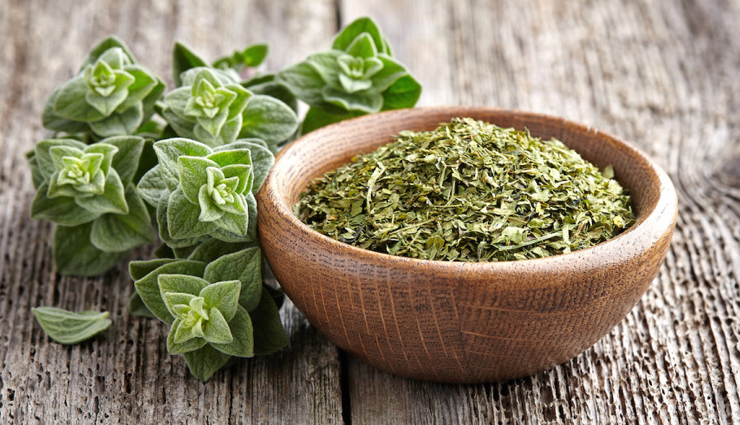 5 Amazing Health Benefits of Oregano