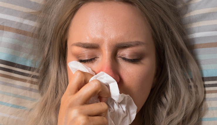 health benefits of oregano,oregano,Health tips,fitness tips