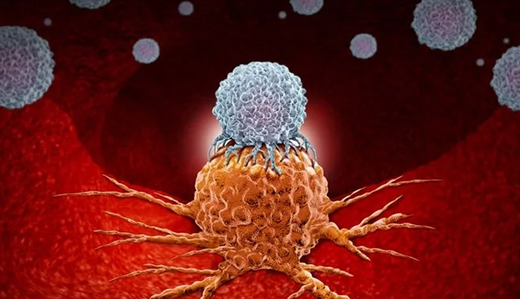 oregano oil benefits,health advantages of oregano oil,oregano oil for wellness,oregano oil health properties,oregano oil and its benefits,uses of oregano oil in health,oregano oil for natural health,oregano oil benefits for body,health perks of using oregano oil,oregano oil medicinal benefits,oregano oil immune support,oregano oil for digestive health,antiviral properties of oregano oil,oregano oil respiratory benefits,oregano oil for skin conditions,oregano oil antibacterial uses,oregano oil natural remedies,oregano oil anti-inflammatory effects,oregano oil antioxidant properties,oregano oil holistic health benefits