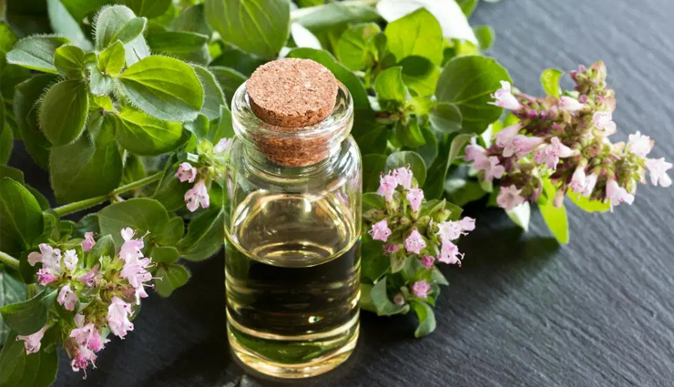 foot fungus,foot fungus treatment,home remedies to treat foot fungus,fungus remedies,Health,Health tips