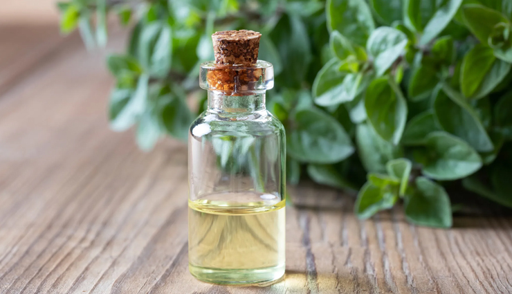 6 Health Benefits of Oregano Oil